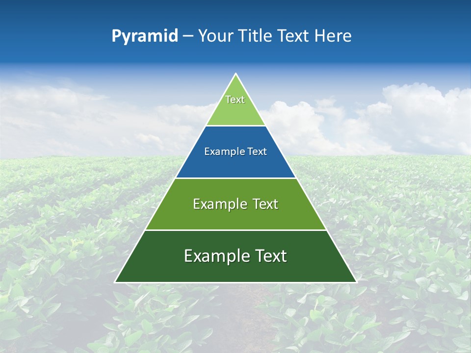 Land Summer Field PowerPoint Template