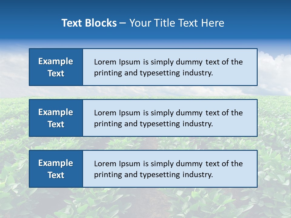 Land Summer Field PowerPoint Template