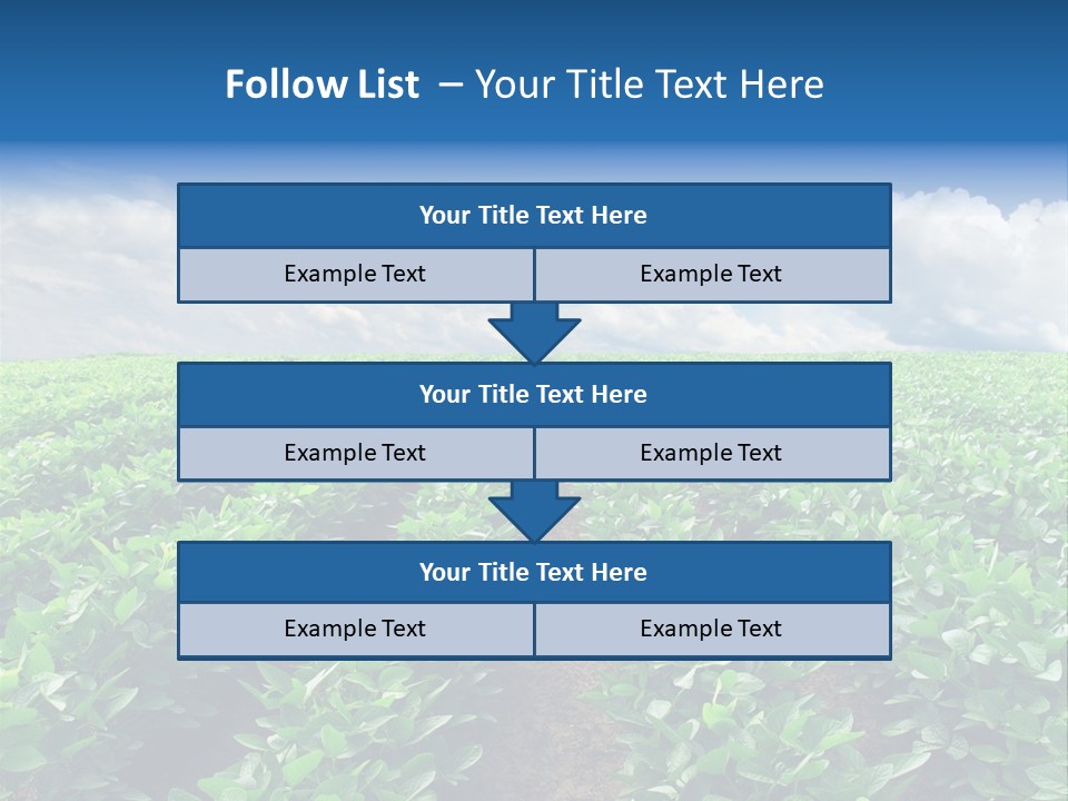 Land Summer Field PowerPoint Template