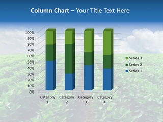 Land Summer Field PowerPoint Template