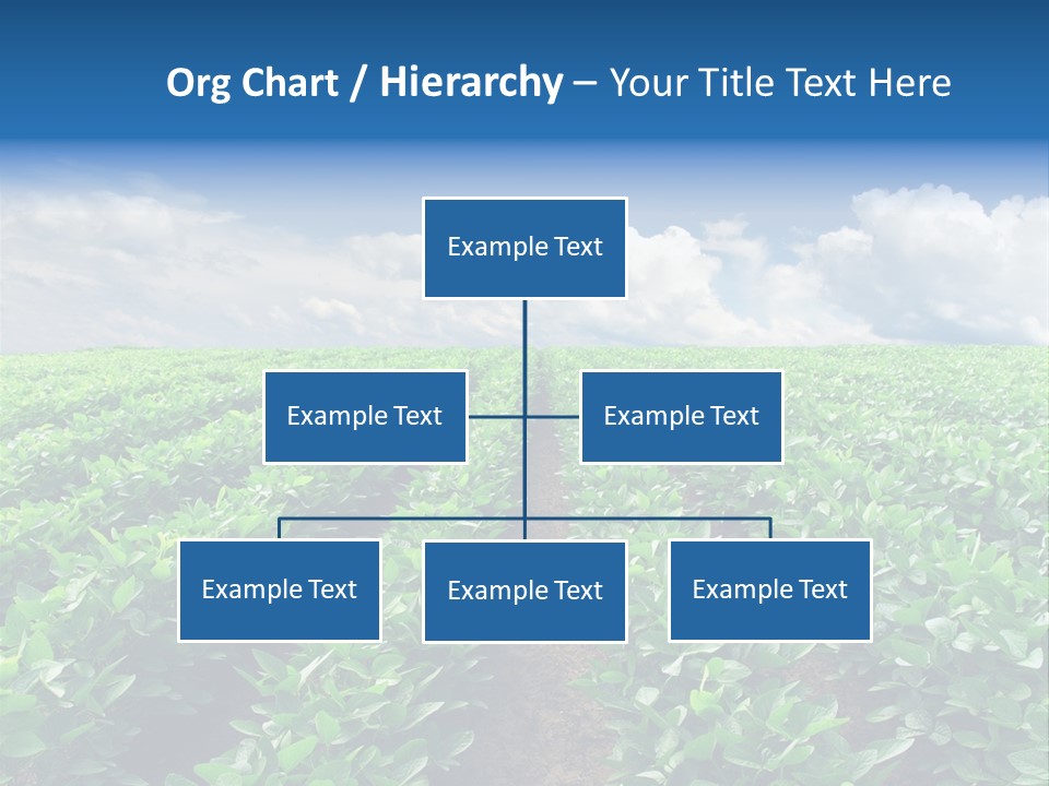 Land Summer Field PowerPoint Template