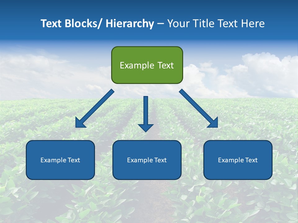 Land Summer Field PowerPoint Template