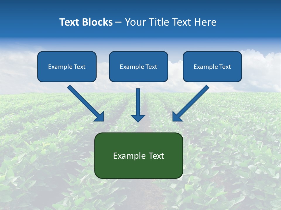 Land Summer Field PowerPoint Template