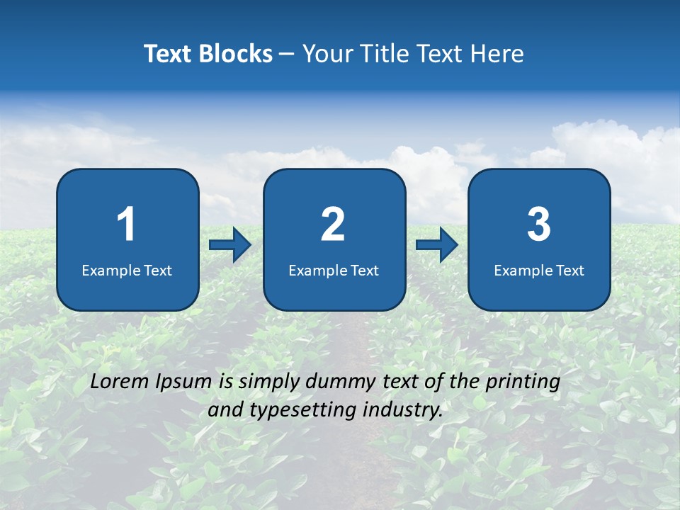 Land Summer Field PowerPoint Template