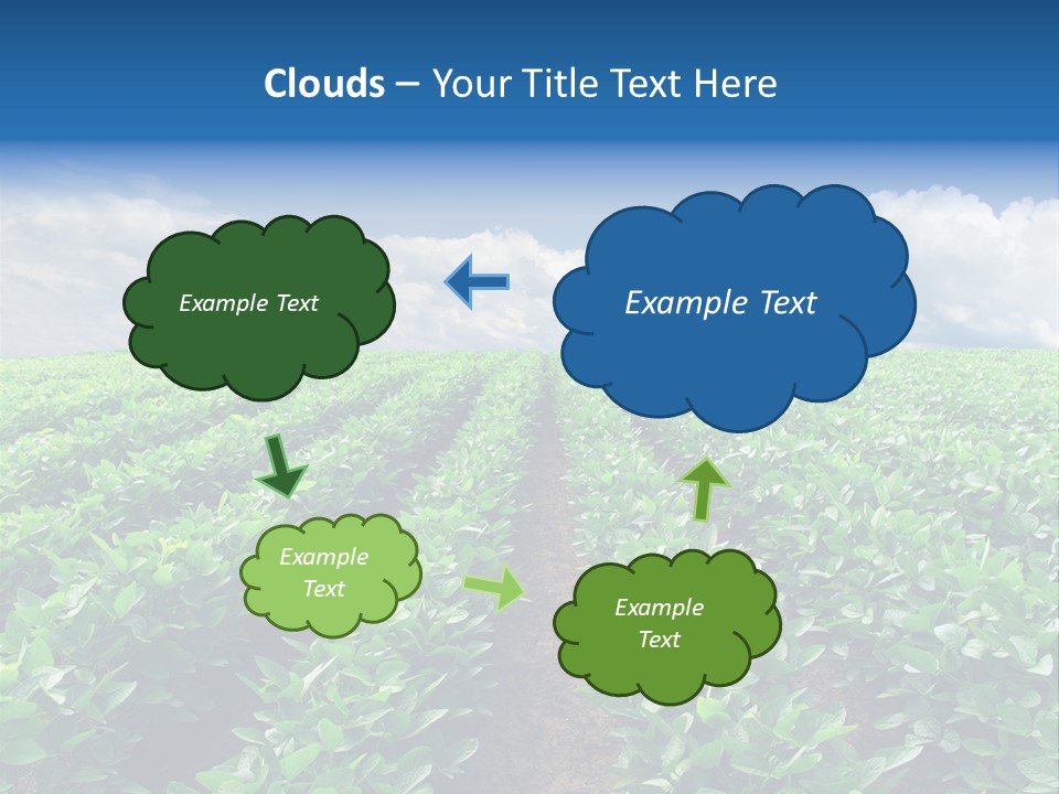 Land Summer Field PowerPoint Template