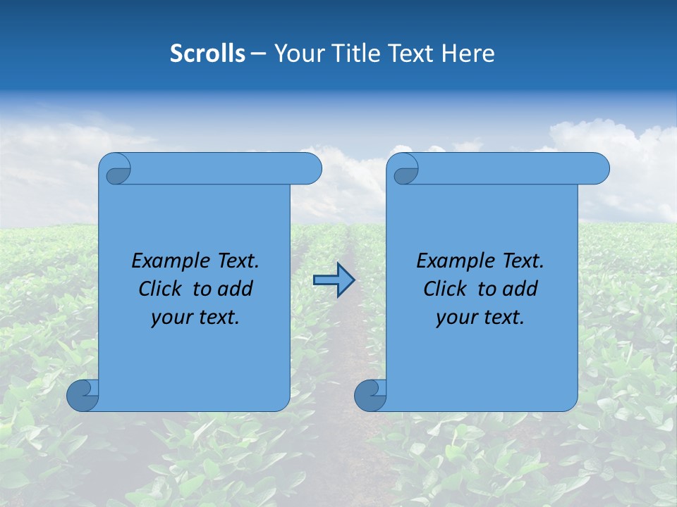 Land Summer Field PowerPoint Template