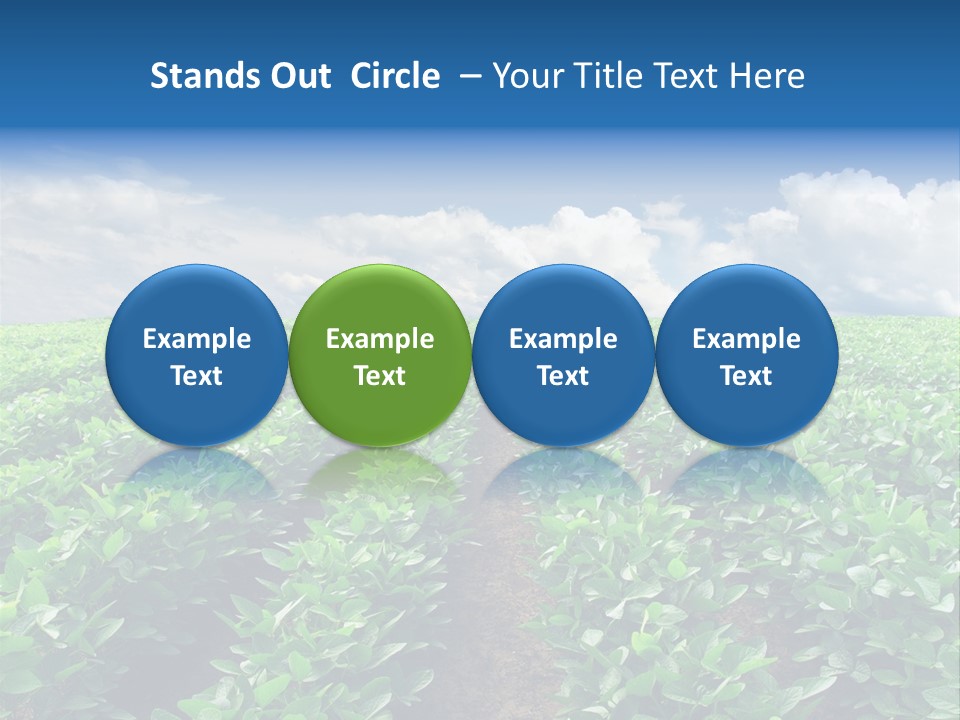 Land Summer Field PowerPoint Template