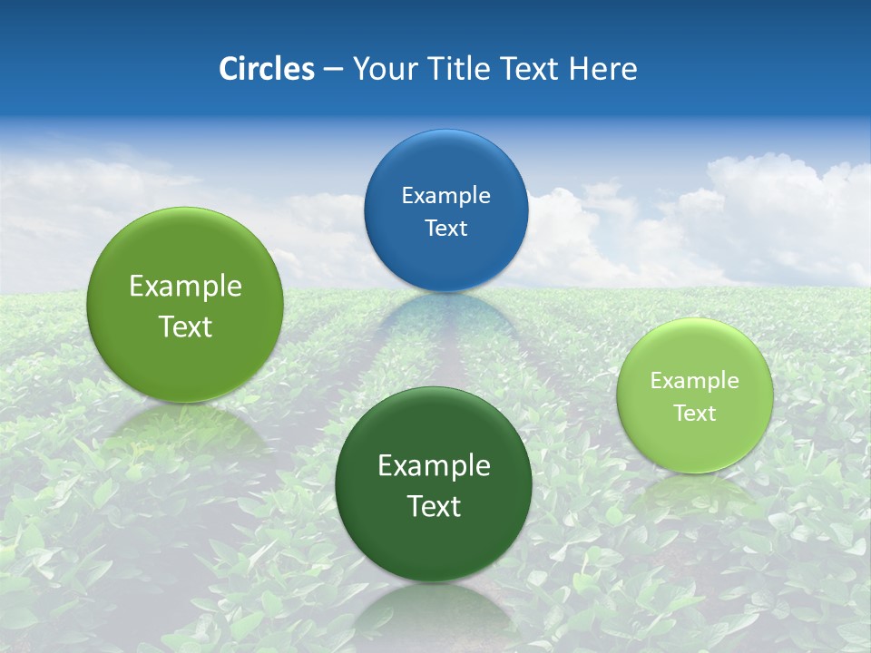 Land Summer Field PowerPoint Template