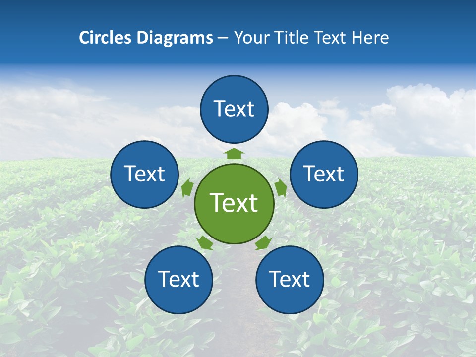 Land Summer Field PowerPoint Template