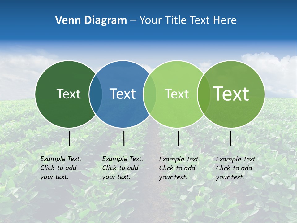 Land Summer Field PowerPoint Template