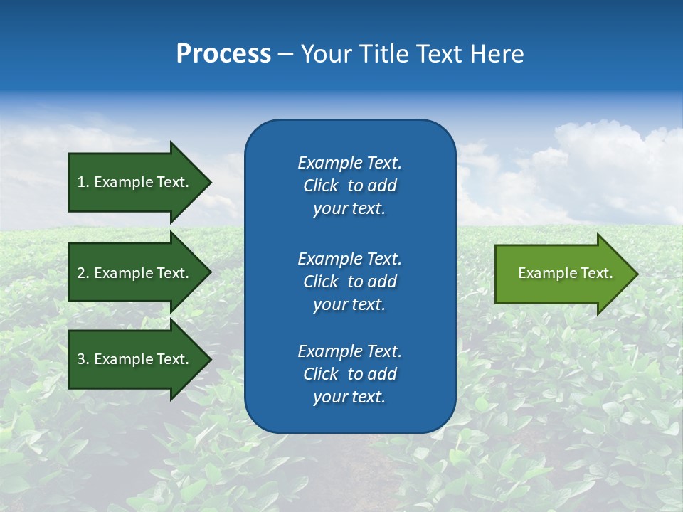 Land Summer Field PowerPoint Template