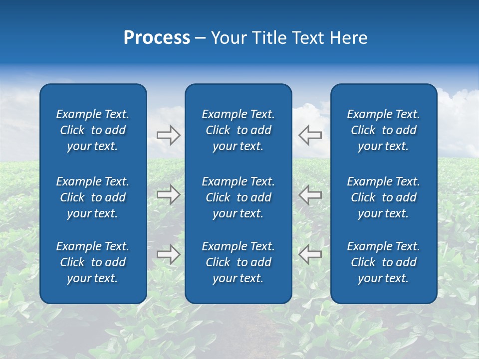Land Summer Field PowerPoint Template