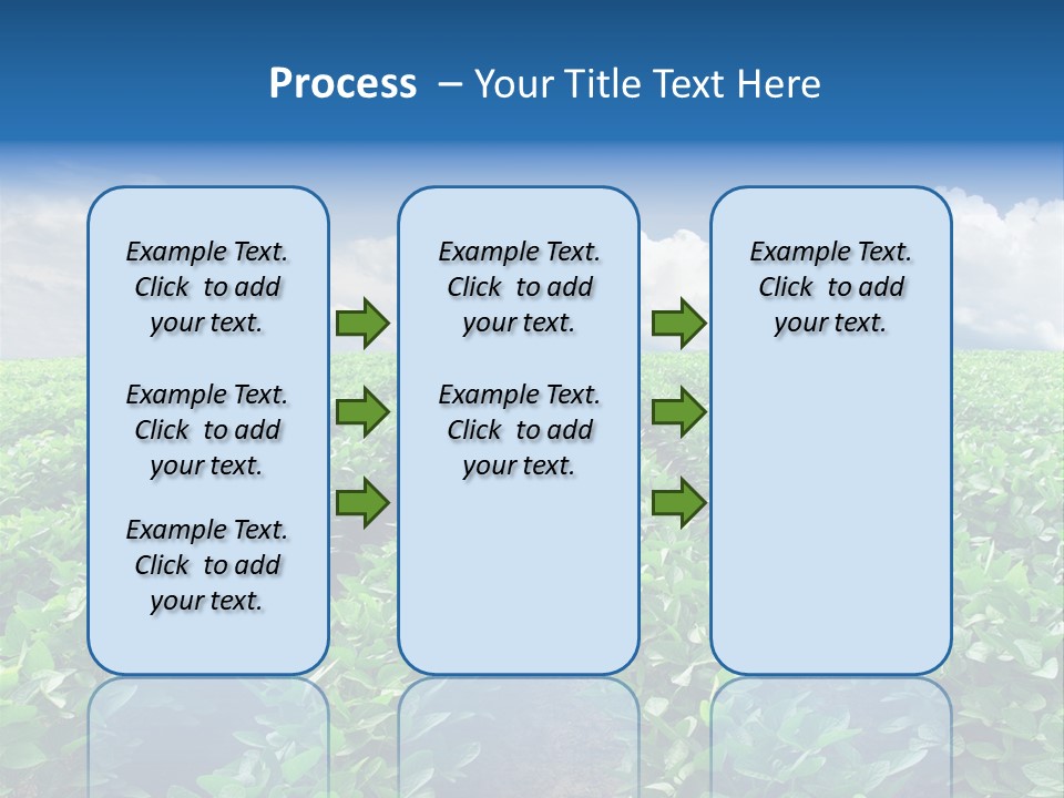 Land Summer Field PowerPoint Template