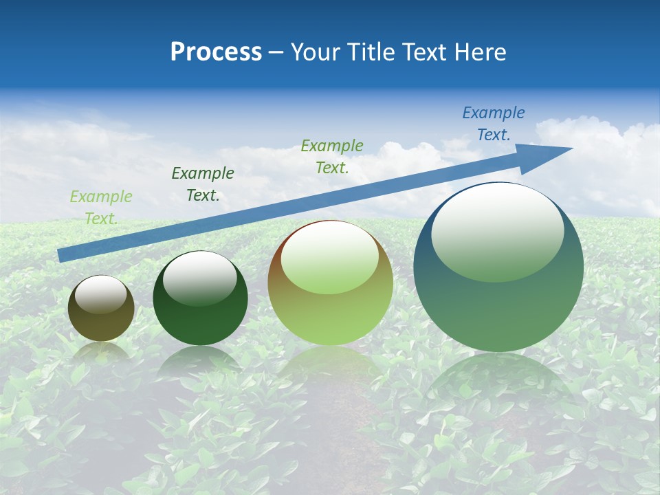 Land Summer Field PowerPoint Template