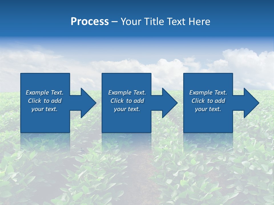 Land Summer Field PowerPoint Template