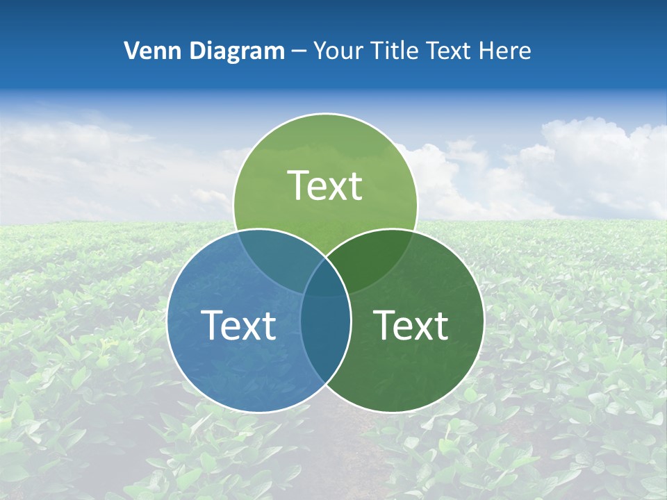 Land Summer Field PowerPoint Template