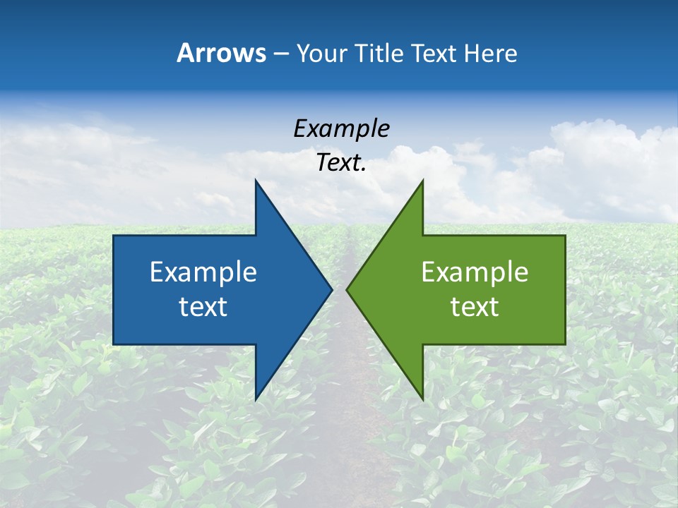 Land Summer Field PowerPoint Template