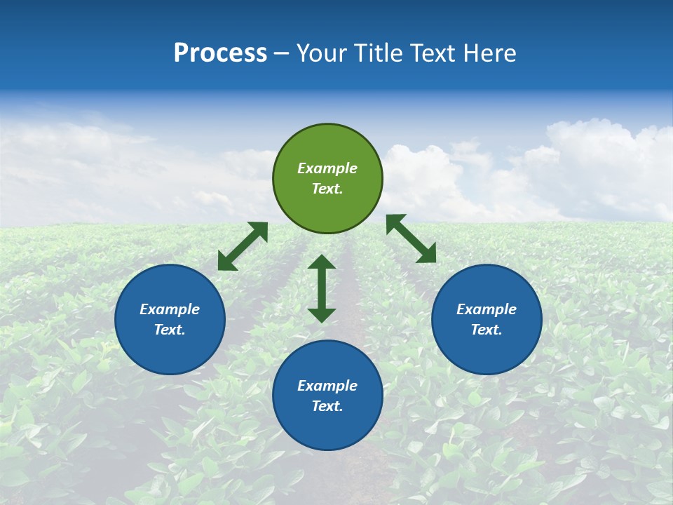 Land Summer Field PowerPoint Template