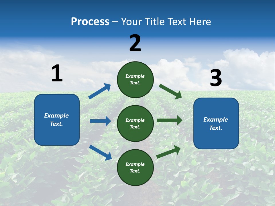 Land Summer Field PowerPoint Template