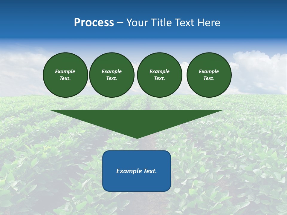 Land Summer Field PowerPoint Template