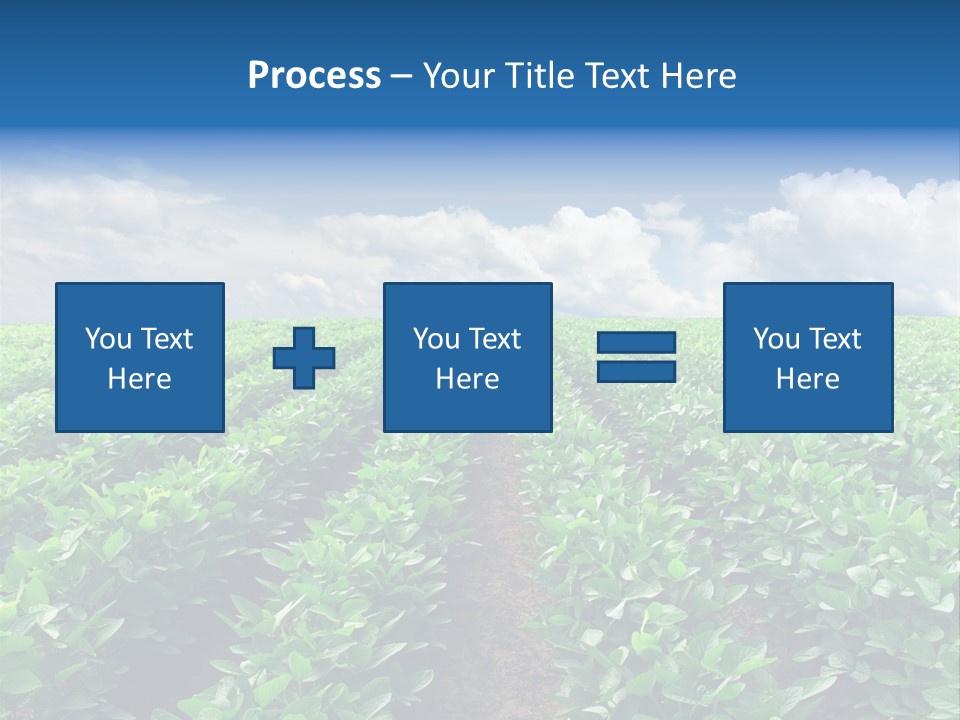Land Summer Field PowerPoint Template
