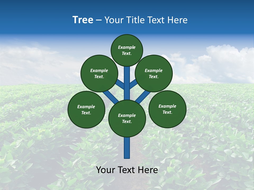 Land Summer Field PowerPoint Template