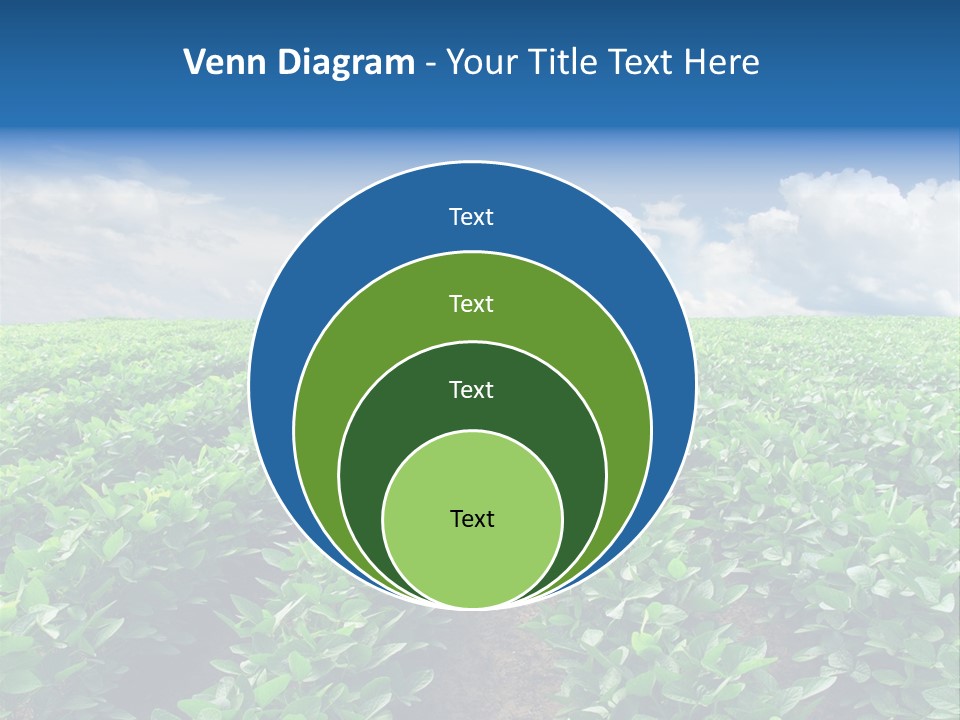 Land Summer Field PowerPoint Template