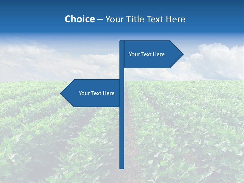 Land Summer Field PowerPoint Template