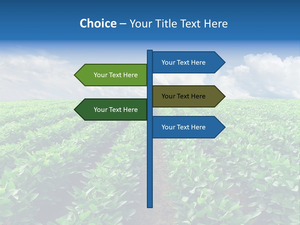 Land Summer Field PowerPoint Template