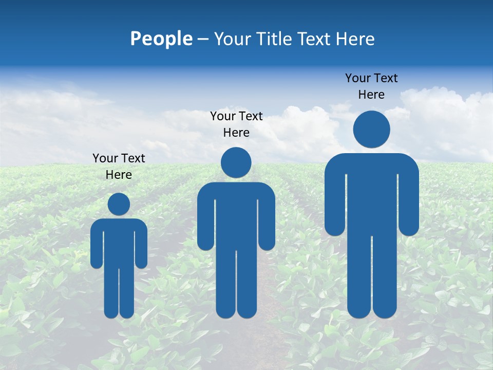 Land Summer Field PowerPoint Template