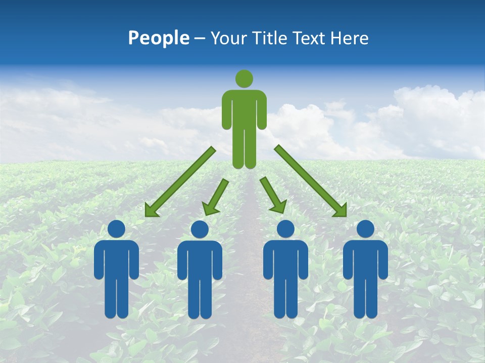 Land Summer Field PowerPoint Template