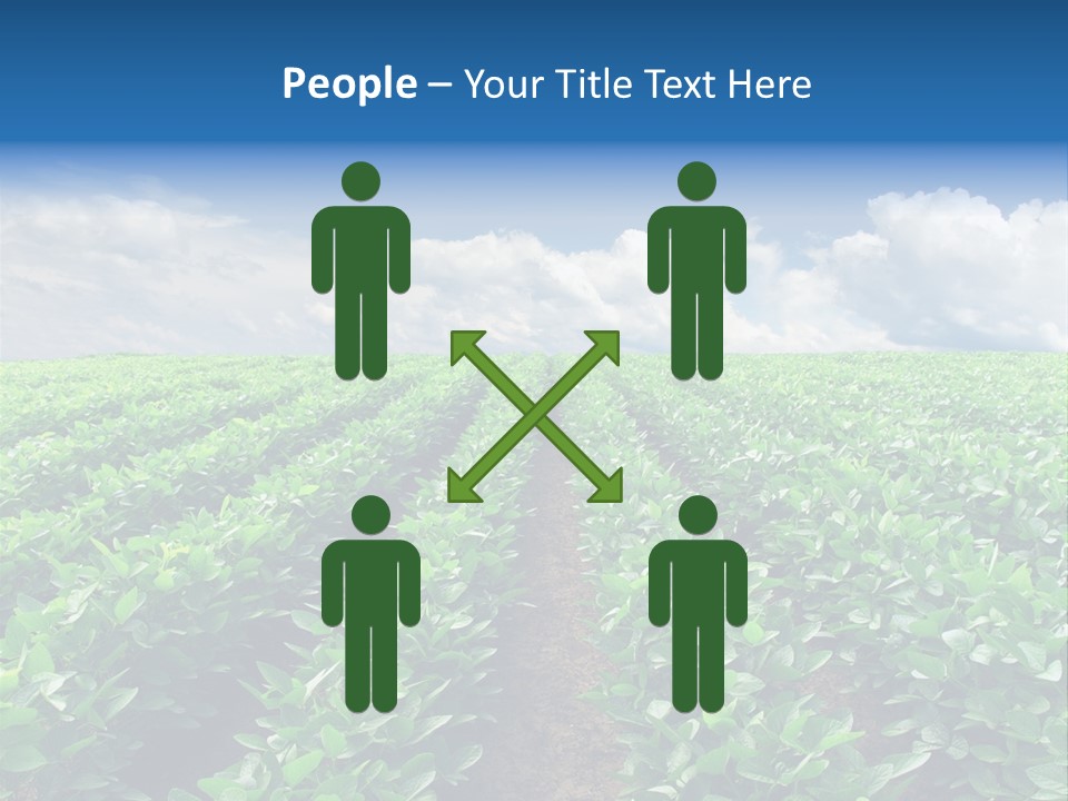 Land Summer Field PowerPoint Template