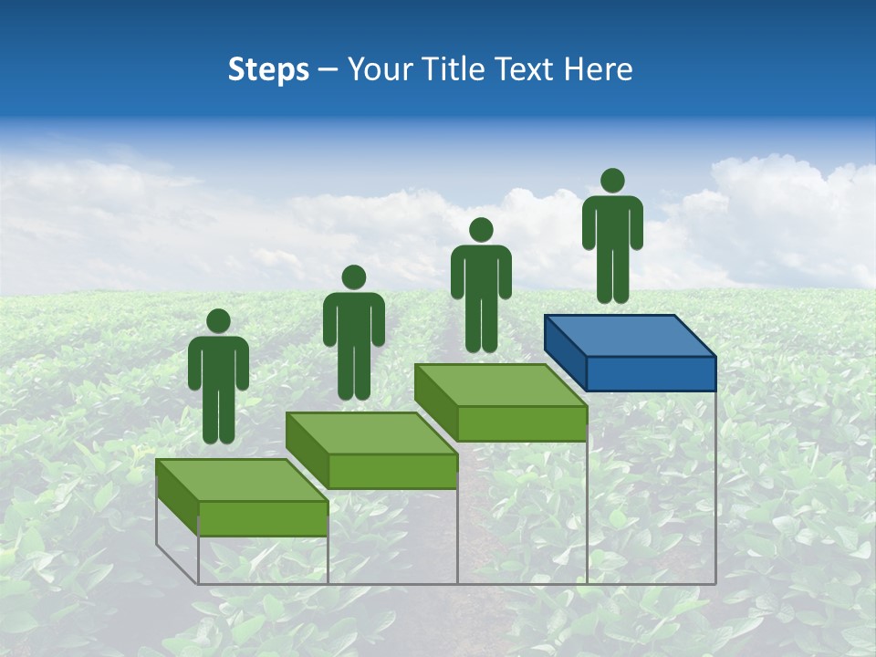 Land Summer Field PowerPoint Template