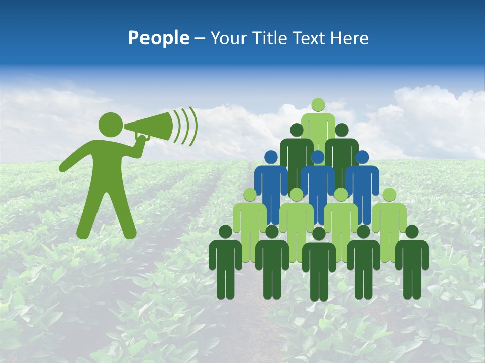 Land Summer Field PowerPoint Template