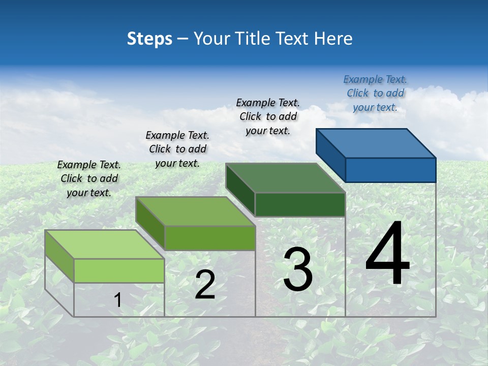 Land Summer Field PowerPoint Template
