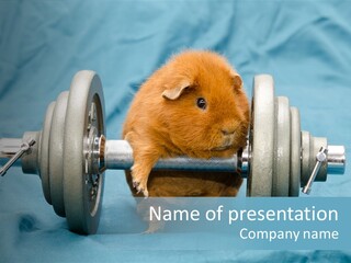 Active Guinea Small PowerPoint Template