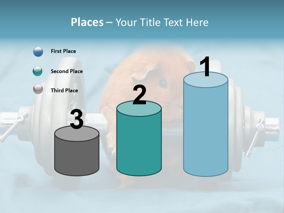 Active Guinea Small PowerPoint Template