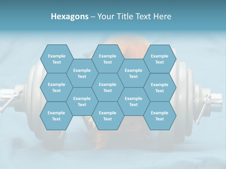 Active Guinea Small PowerPoint Template