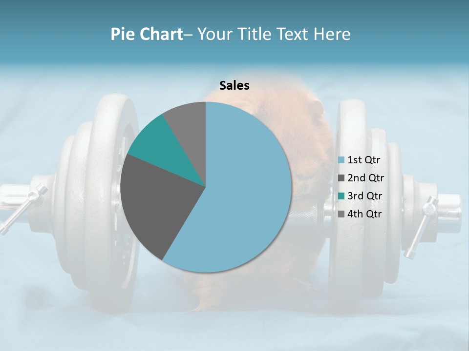 Active Guinea Small PowerPoint Template