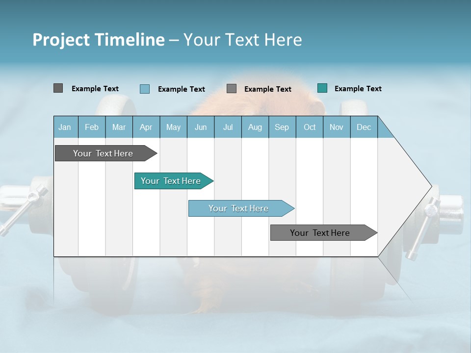 Active Guinea Small PowerPoint Template