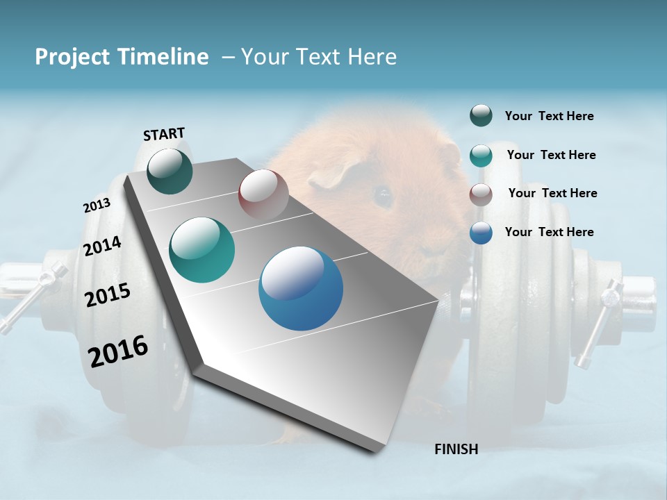 Active Guinea Small PowerPoint Template