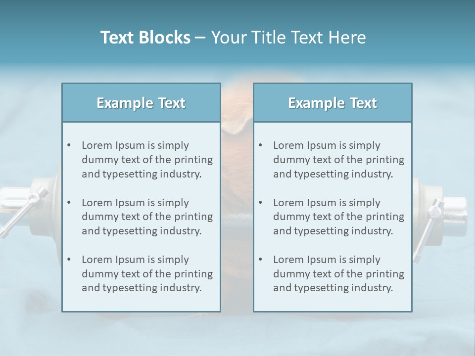 Active Guinea Small PowerPoint Template