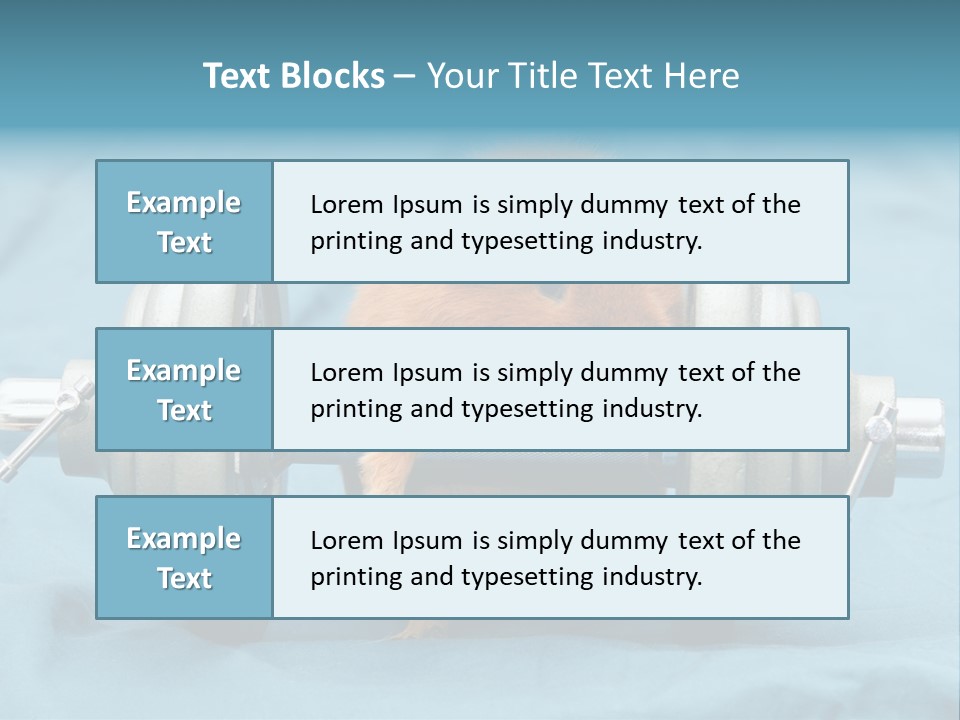 Active Guinea Small PowerPoint Template