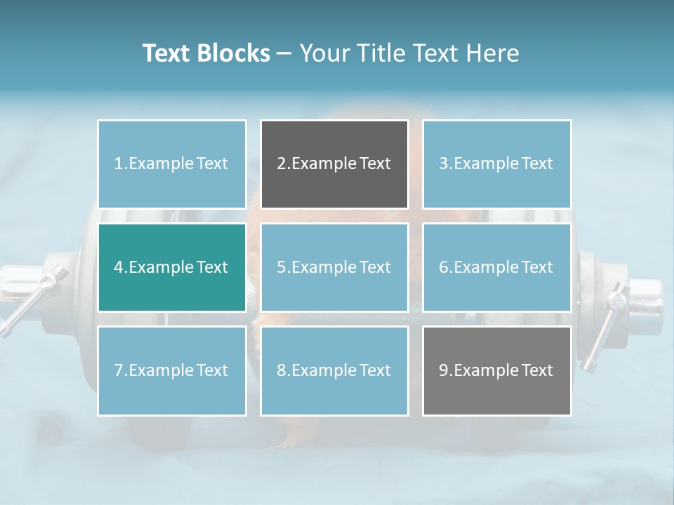 Active Guinea Small PowerPoint Template