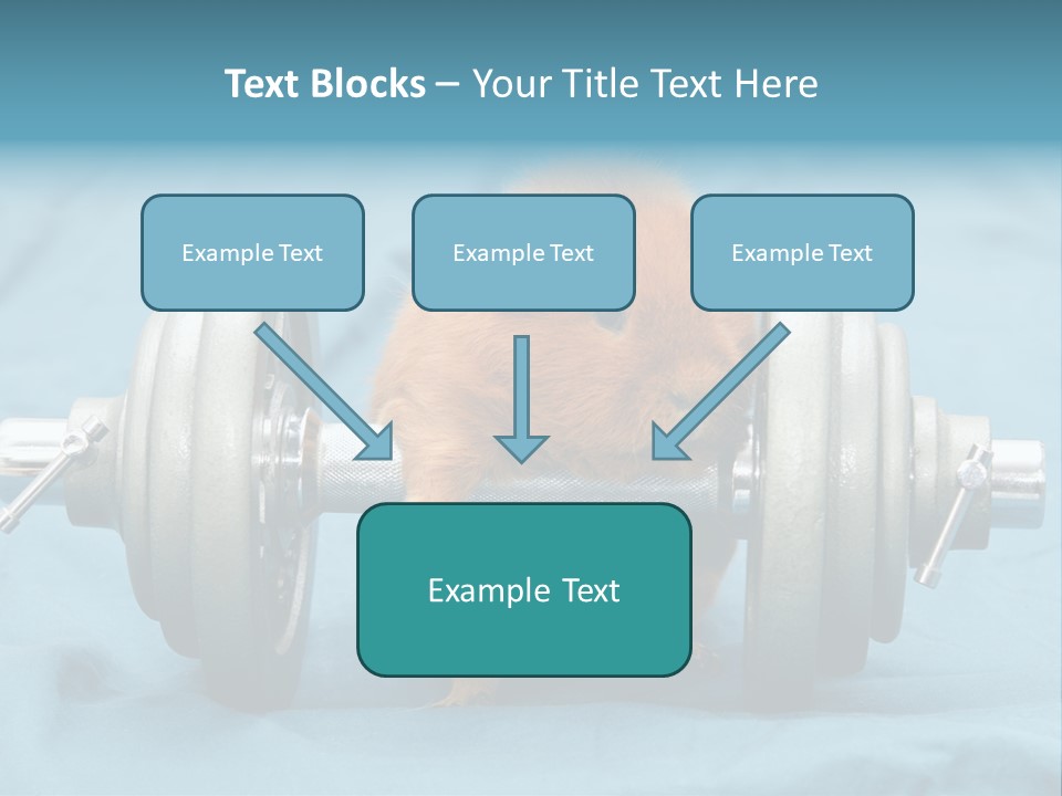 Active Guinea Small PowerPoint Template