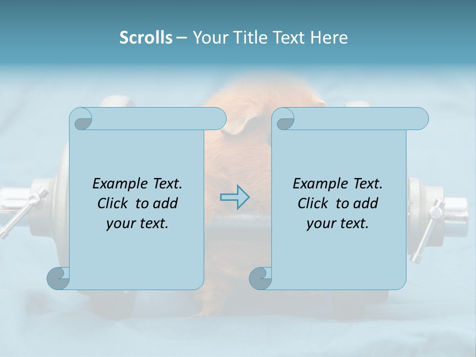 Active Guinea Small PowerPoint Template