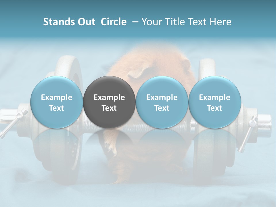 Active Guinea Small PowerPoint Template