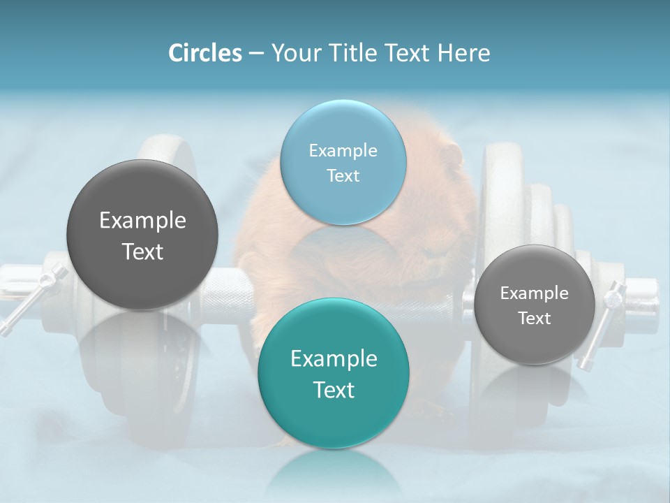 Active Guinea Small PowerPoint Template