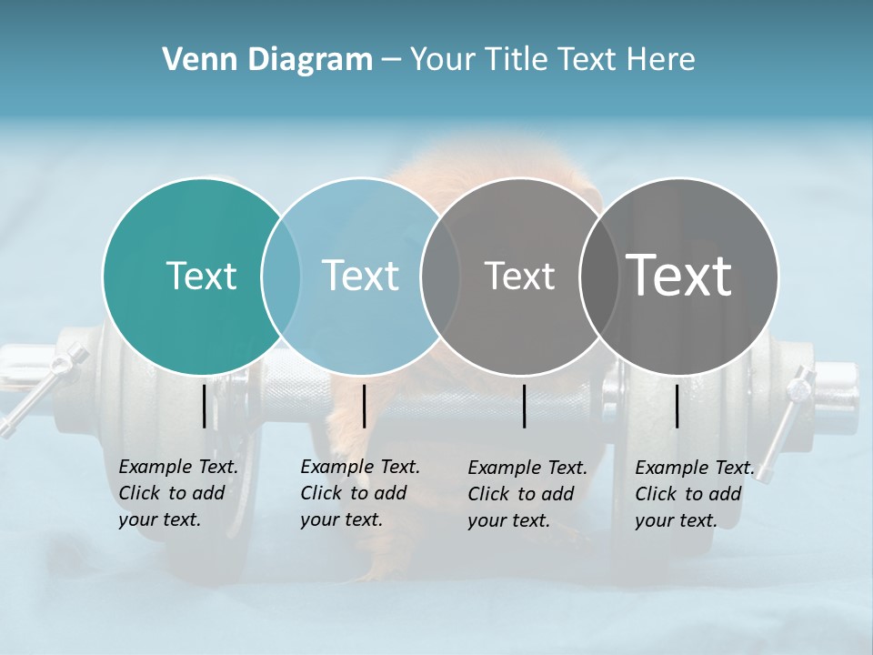 Active Guinea Small PowerPoint Template