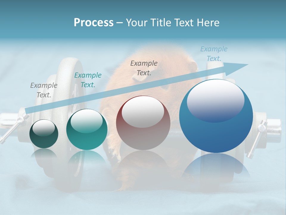 Active Guinea Small PowerPoint Template